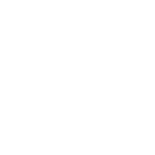 Heineken White Logo