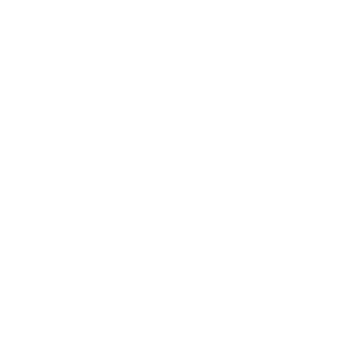 Siemens White Color Logo
