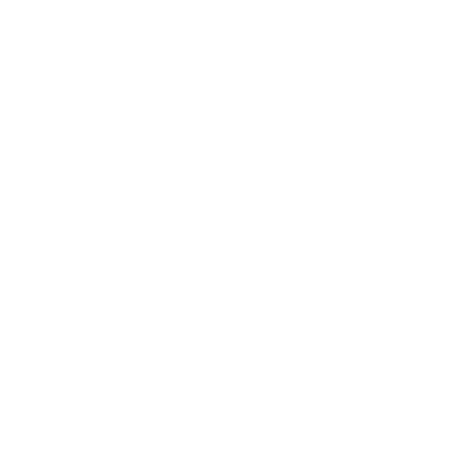 DOO Dute Zajecar - PROTIM Inzinjering Klijent